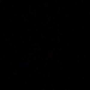 Meet your Posher, Carmen